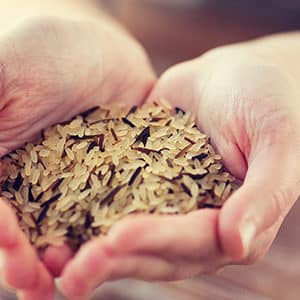 Granen: overstappen van geraffineerd naar volkoren doet afvallen