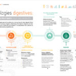 Nutriscope: Pathologies digestives, conseils pratiques pour vos patients