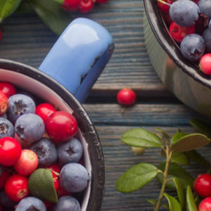 Les pigments des baies utiles contre le cancer?