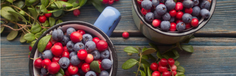 Les pigments des baies utiles contre le cancer?