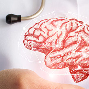 La structure du cerveau prédit-elle le succès d’un régime?