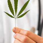 Le cannabis médical, nouvel allié de la maladie de Crohn?