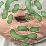 Microbiote intestinal, obésité et troubles mentaux: le lien