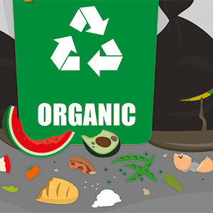 Le gaspillage alimentaire de l’obésité