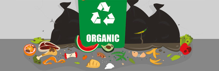 Le gaspillage alimentaire de l’obésité