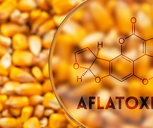 toxines aflatoxine métaux lourds cancer vaccin, toxines aflatoxine zware metalen kanker vaccin