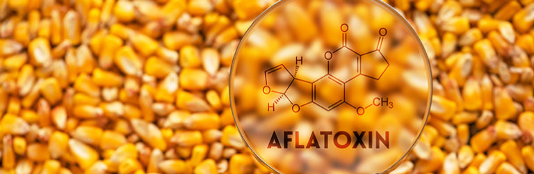 Les dégâts des toxines naturelles de nos aliments