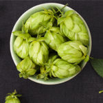 Houblon: un effet positif sur le syndrome métabolique?