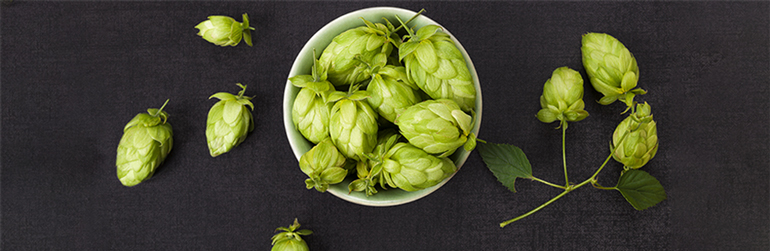 Houblon: un effet positif sur le syndrome métabolique?