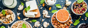 protéines végétales viande mortalité cardiovasculaire, plantaardige eiwitten dierlijke eiwitten cardiovasculaire mortaliteit kanker