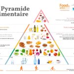 pyramide alimentaire 2020 familles recommandations alimentaires
