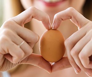 œuf cholestérol maladies cardiovasculaires cœur recommandations, eieren cholesterol cardiovasculaire aandoeningen hart aanbevelingen