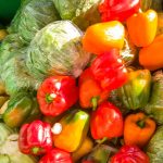 Gaspillage alimentaire : son ampleur en fait un enjeu majeur