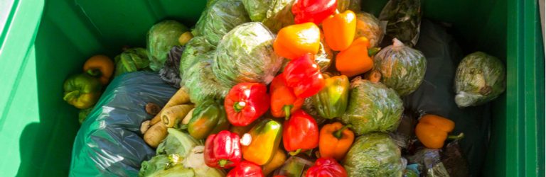 Gaspillage alimentaire : son ampleur en fait un enjeu majeur