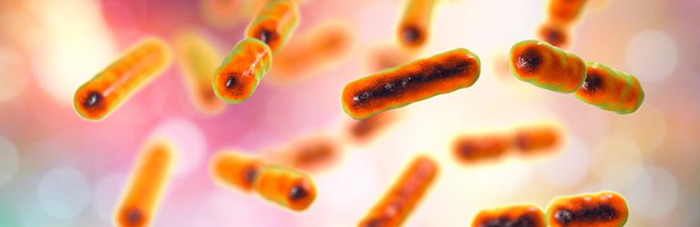 Microbiote : une nouvelle bactérie prometteuse identifiée