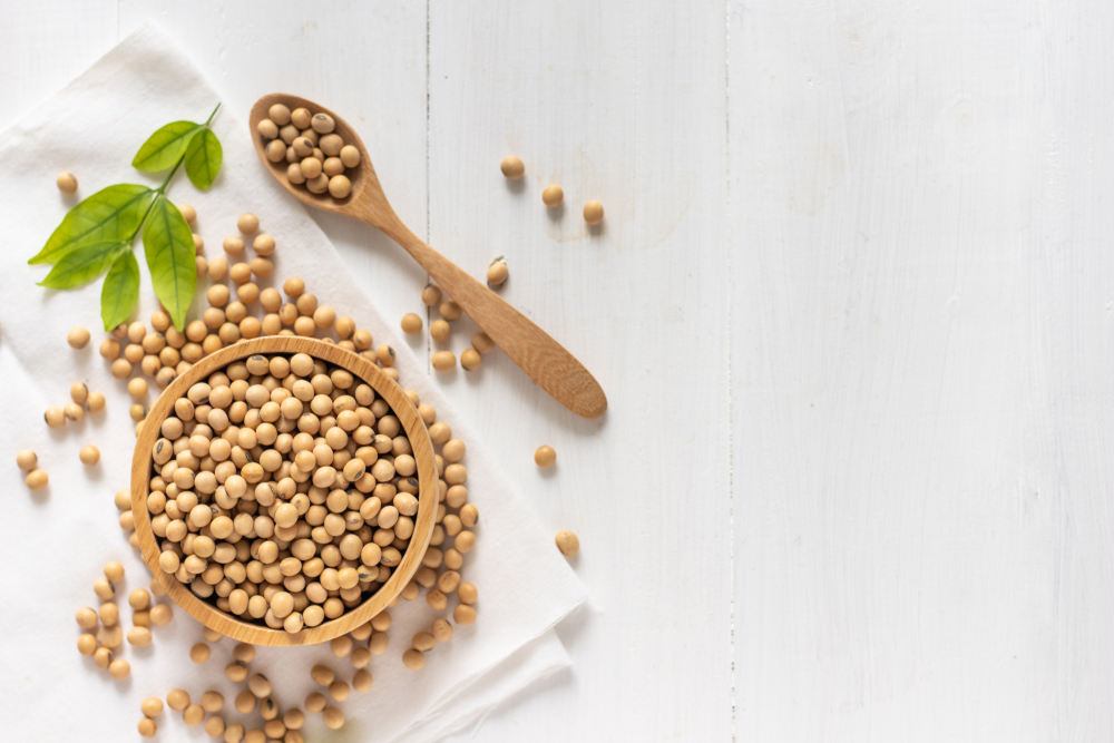 Faut-il limiter les produits à base de soja ?