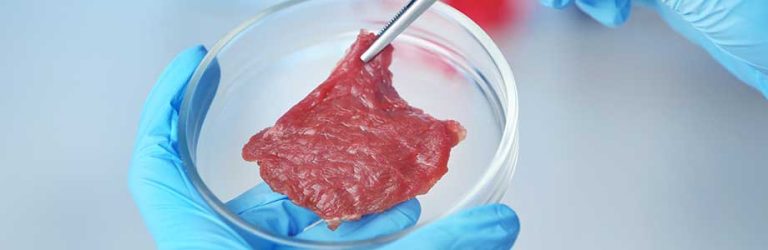 Viande de culture : vraie ou fausse bonne idée?