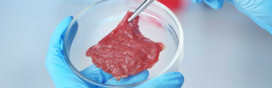 Viande de culture : vraie ou fausse bonne idée?