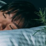 Plantenextracten: ander tijdstip, ander effect?