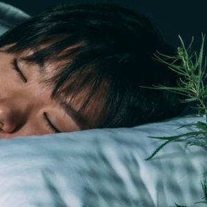 Plantenextracten: ander tijdstip, ander effect?