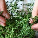 De geheimen van voedingssupplementen op basis van planten