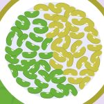 Les légumineuses dans l’assiette