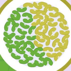 Les légumineuses dans l’assiette