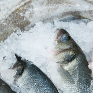 Les recommandations alimentaires nordiques 2023