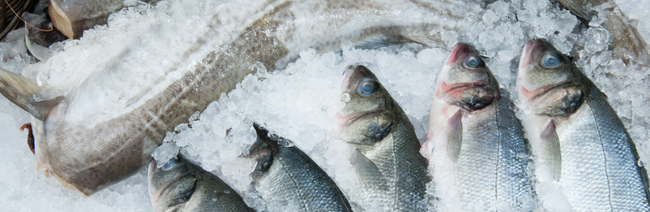 Les recommandations alimentaires nordiques 2023
