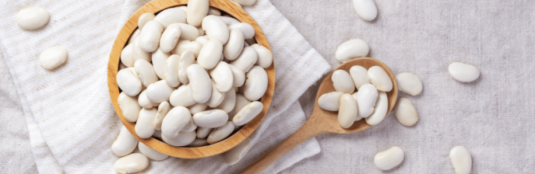 Les haricots secs : prébiotique efficace et accessible