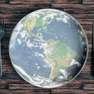Impact environnemental de l’alimentation : comment l’exprimer ?