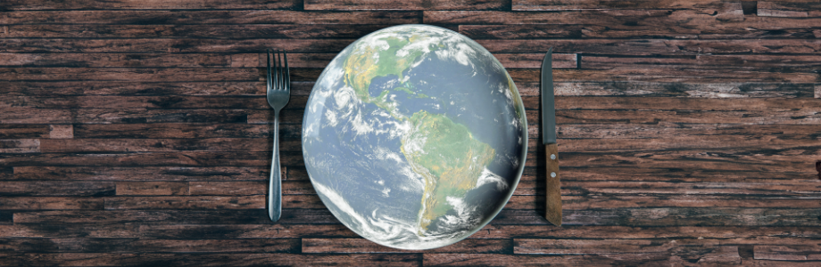 Impact environnemental de l’alimentation : comment l’exprimer ?