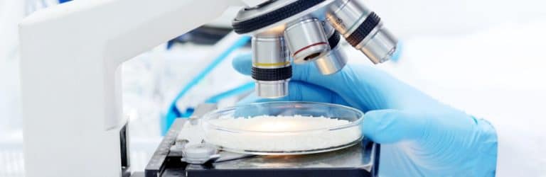 Trop d’arsenic dans nos assiettes, l’EFSA s’inquiète