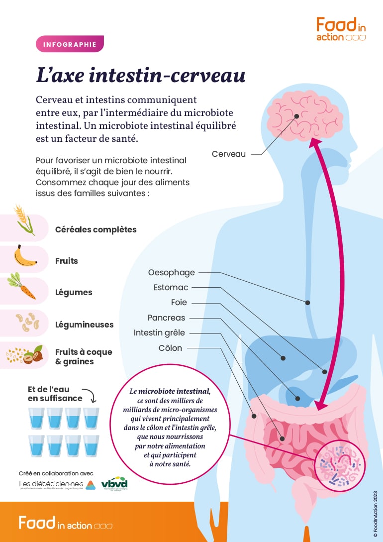 L’axe intestin cerveau et le microbiote intestinal en image