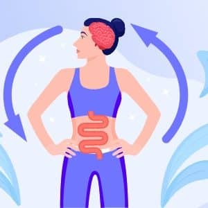 L’axe intestin cerveau et le microbiote intestinal en image