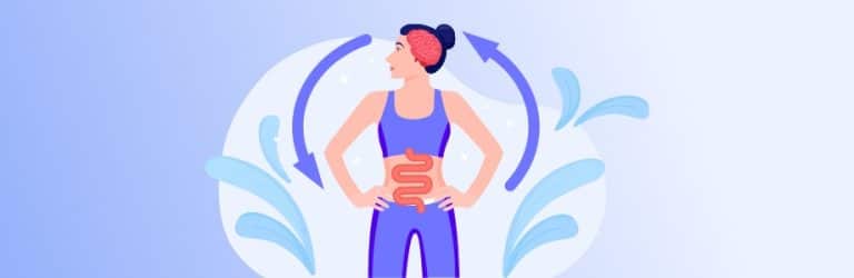 L’axe intestin cerveau et le microbiote intestinal en image