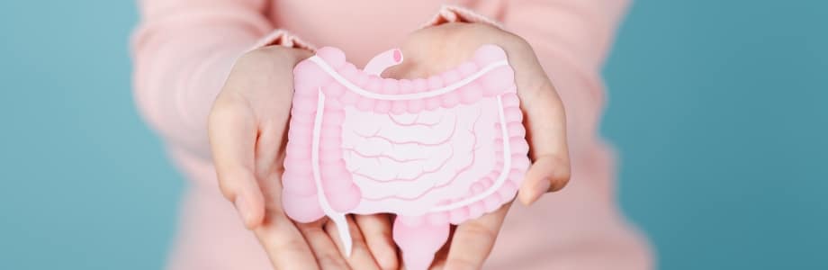 Les pleins pouvoirs du microbiote intestinal