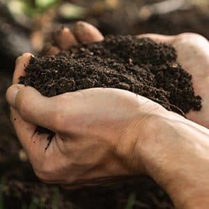 Transition alimentaire : faut-il abandonner les produits animaux ?
