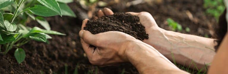 Transition alimentaire : faut-il abandonner les produits animaux ?