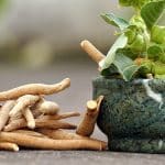 Ashwagandha : un antistress naturel, mais controversé