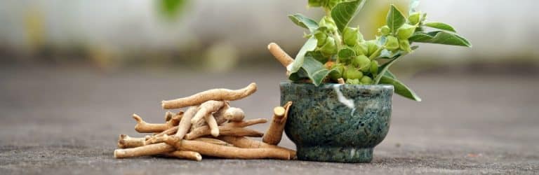 Ashwagandha : un antistress naturel, mais controversé