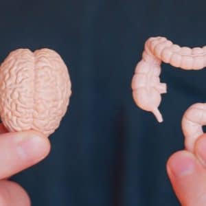 Hersenen kunnen microbioom in 2 uur veranderen