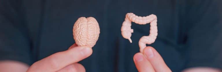 Hersenen kunnen microbioom in 2 uur veranderen
