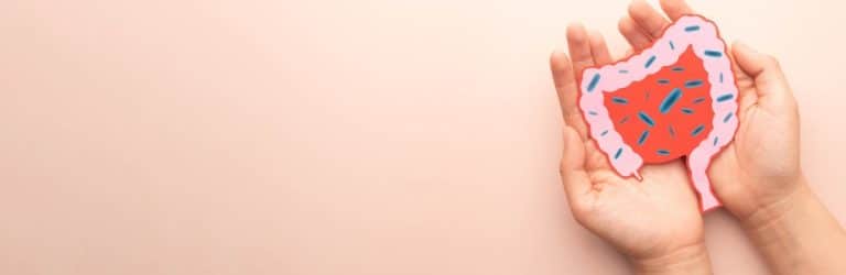 Microbiote intestinal : les meilleurs et les moins bons régimes
