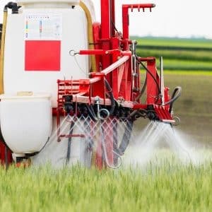 Trop de cadmium dans l’alimentation : les engrais en cause